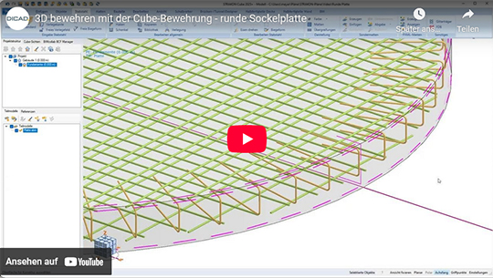 3D zbrojenia z Cube zbrojenia - okrągła płyta cokołu (DE)